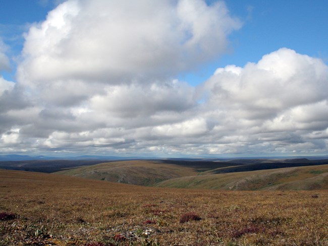 Rolling tundra