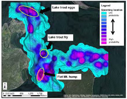 Identifying Movement Patterns and Spawning Areas of Lake Trout in