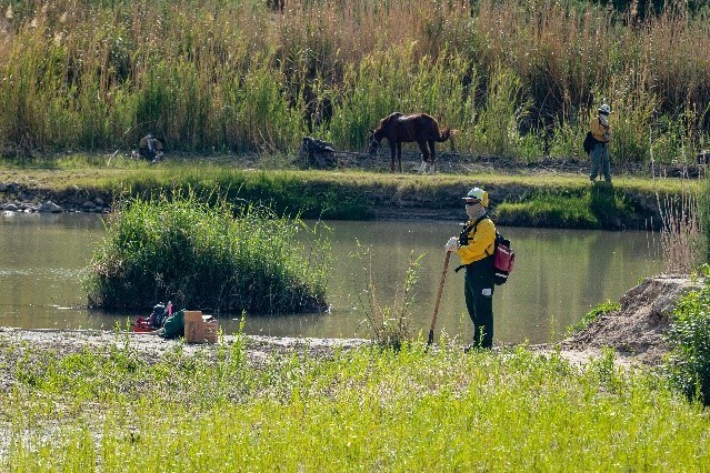 Firefighter stands on riverbank monitoring prescribed fire.