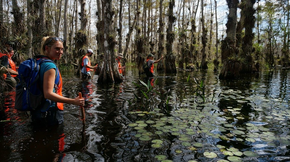 BICY Gator Hook People hiking through swamp