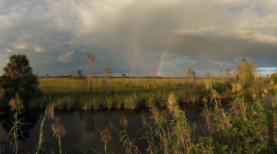 Rainbow over Big Cypress Swamp