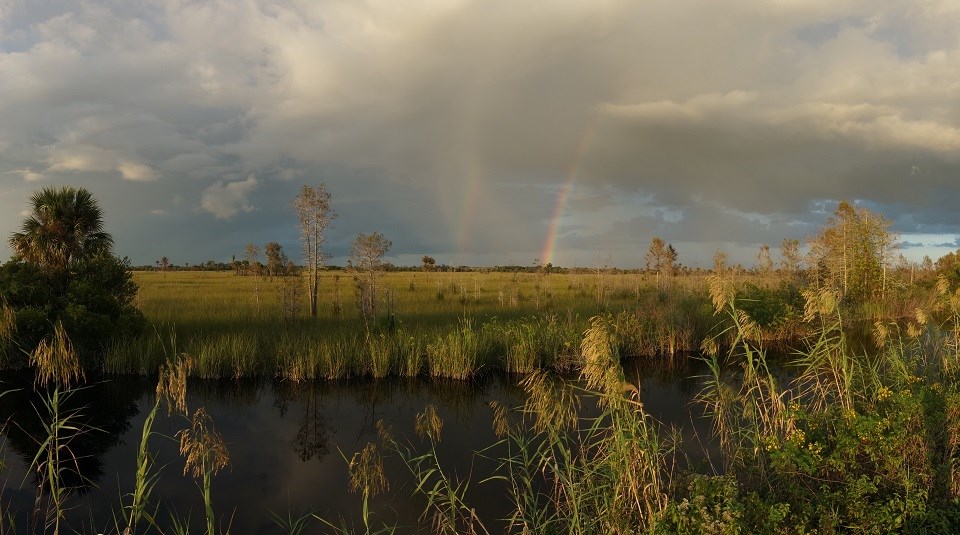 Rainbow over Big Cypress Swamp