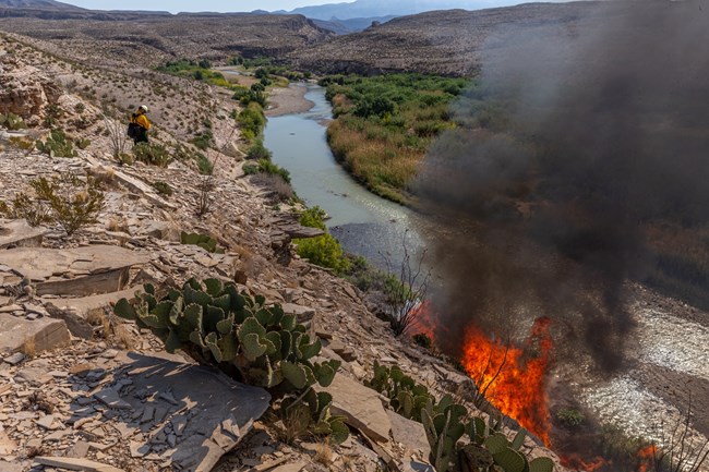 aerial photo of prescribed fire along riverbank