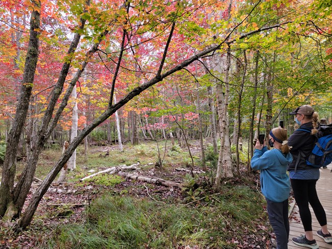 a woman and a girl take photos on their phones of autumn foliage from a boardwalk