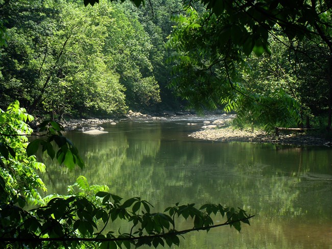 BLUE River View River with low water surrounded by green trees.