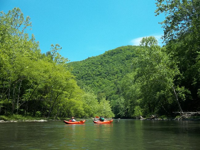 BLUE_ Kayakers Two kayakers paddling a calm river surrounded by trees.