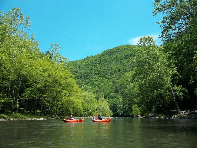 Two kayakers paddling a calm river surrounded by trees.