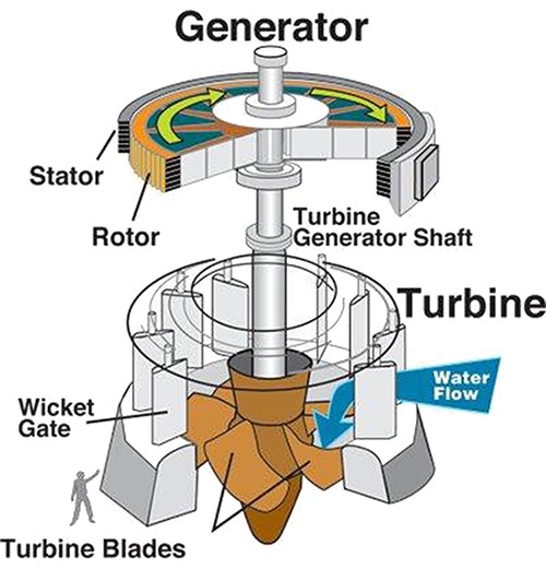 Schematic Drawing of a Hydroelectric Generator. (Illustration courtesy of the Bureau of Reclamation)