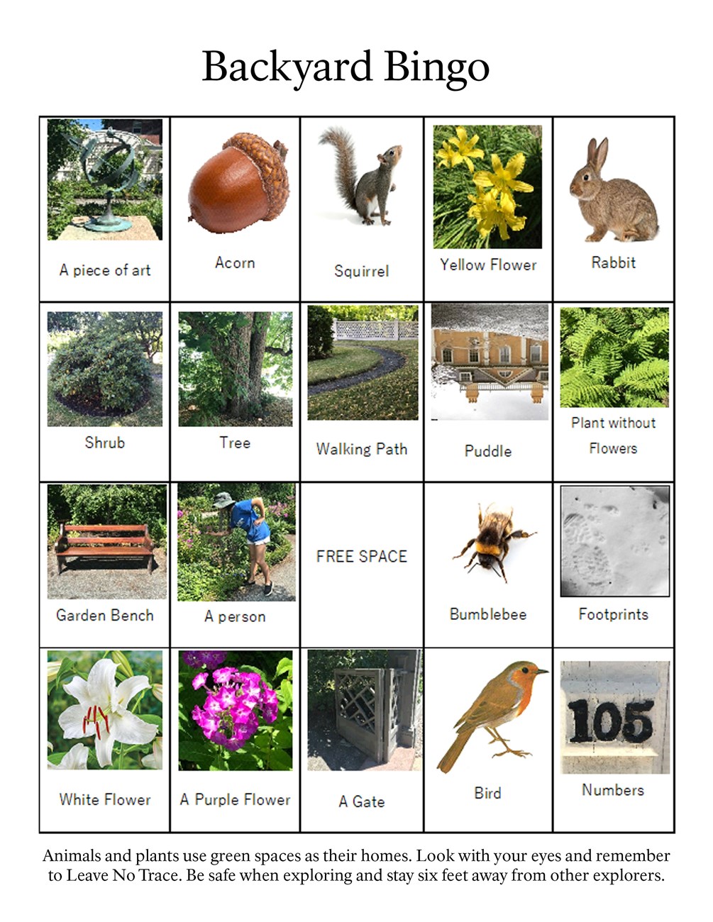 Table made of twenty boxes, filled with plants, animals and things you can find outside