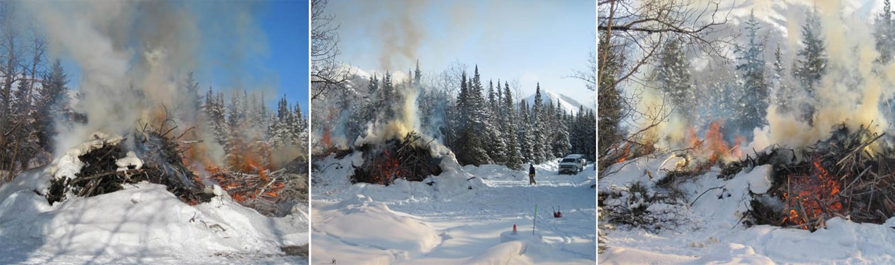 Banner 1 Three side-by-side images that display a large brush pile controlled burning in Denali National Park and Preserve.