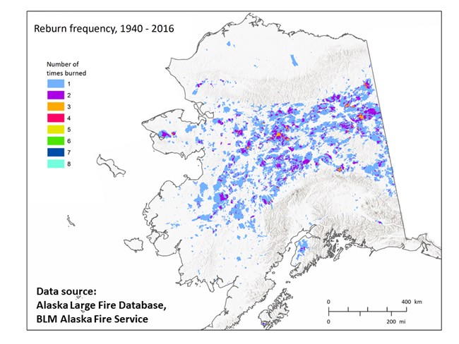 Alaska reburn frequency map using fire perimeter data from 1940-2016. From J. Barnes 2017 presentation "What is Fueling Repeat Fires? Shortened Fire Return Intervals in Copper River Basin and Denali".