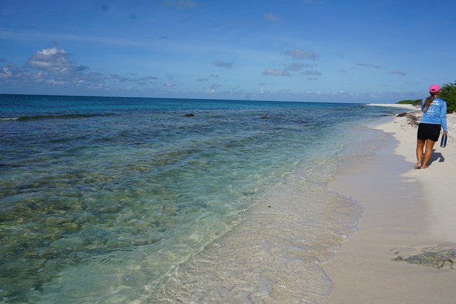 A woman walking on a sandy beach beside the ocean