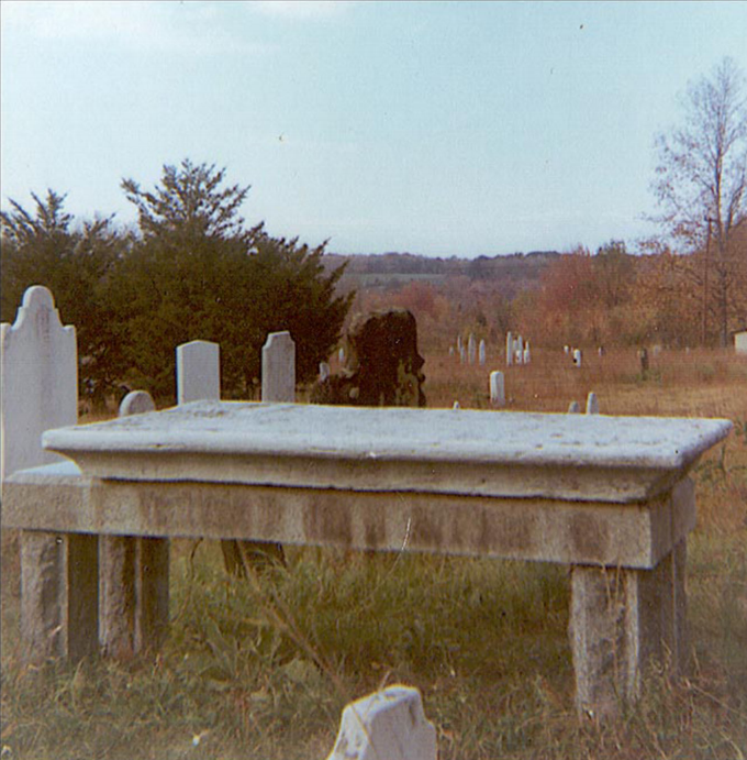 Gravestones surrounded by trees and tall grass