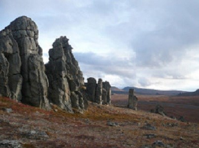 tors tors