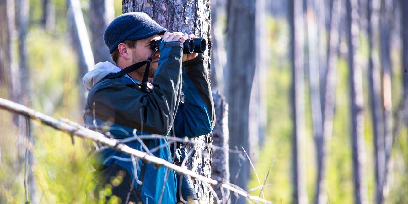 A man uses binoculars to watch birds