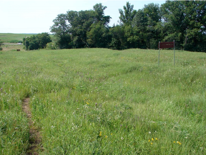 Black Jack Battlefield Grassy field with trees and wagon ruts.