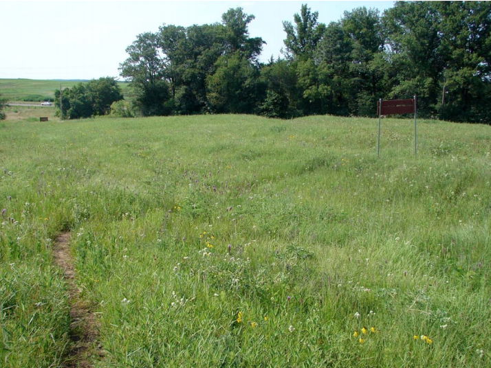 Grassy field with trees and wagon ruts.