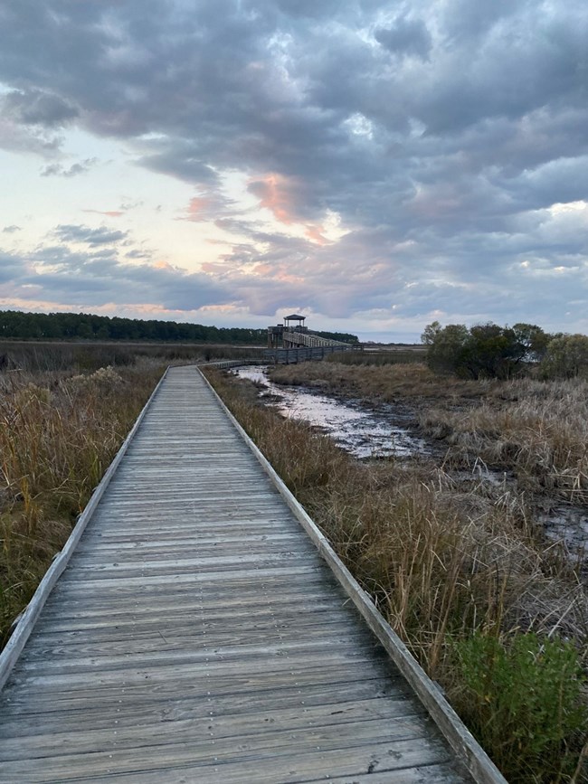 A wooden boardwalk leads to a lookout surrounded by salt marsh under a cloudy sky.