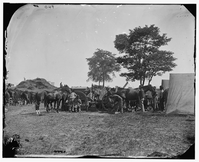 Blacksmith Blacksmith shoeing horses