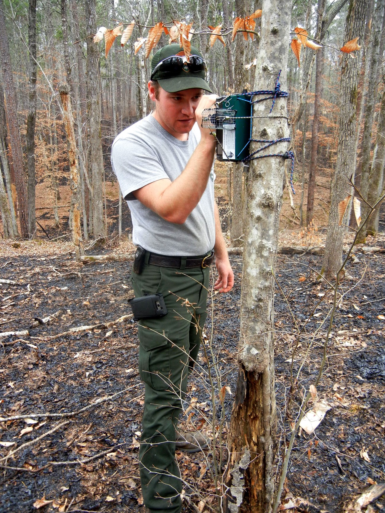 Man looking at a box attached a tree