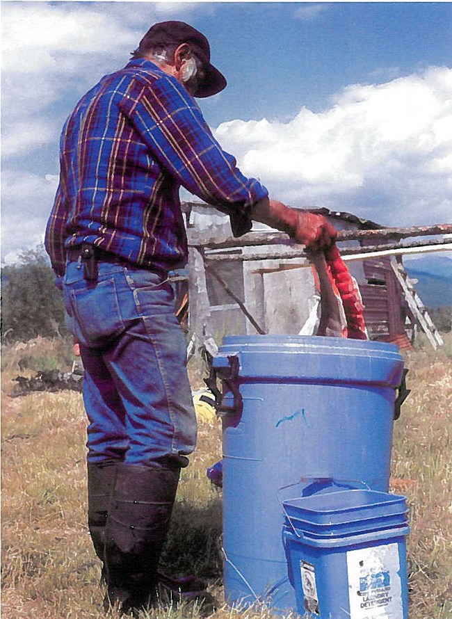 Brining Salmon A man in a black hat, plaid-colored shirt and jeans holds filleted salmon over a large blue trash can filled with liquid to brine salmon.
