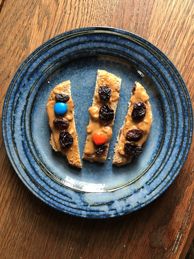 Brown creeper snack a photo of the snack on a blue plate: strips of bread spread with peanut butter and dotted with raisins and m&ms