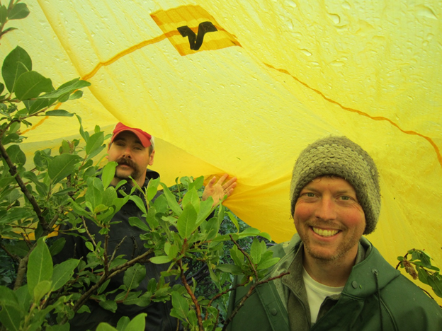 Researchers under a tarp