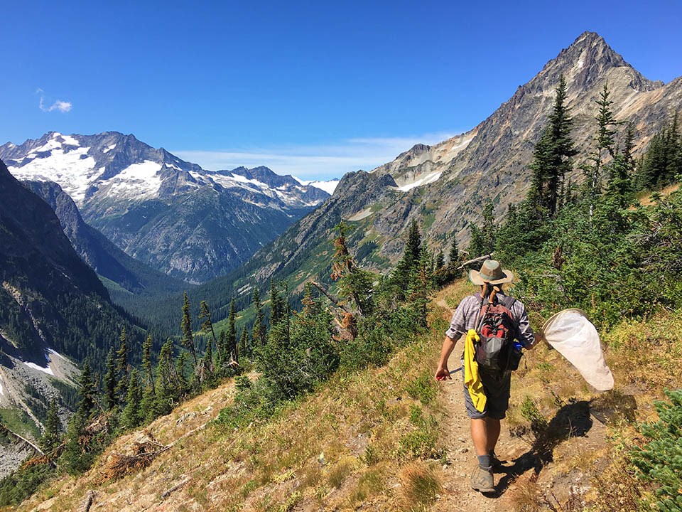 Person with a butterfly net walks along a scenic trail