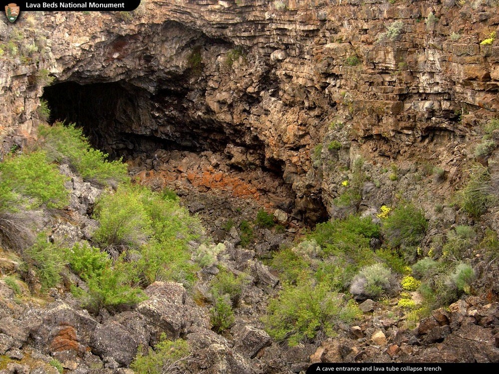 Cave in Lava Beds NM The special climate of cave entrances and collapse trenches are home to many interesting plants and animals