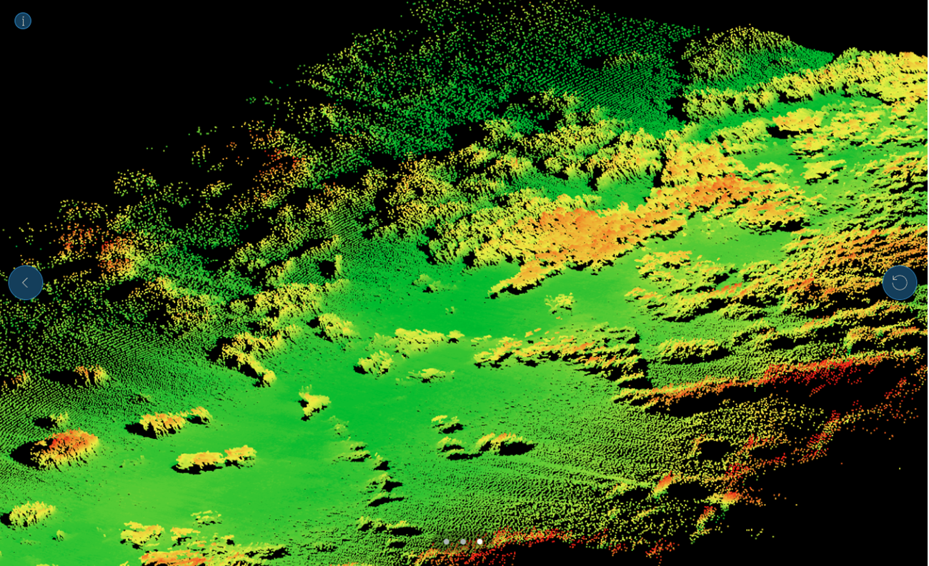 Multibeam sonar data showing seagrass (orange and yellow) in patches amid a green background.