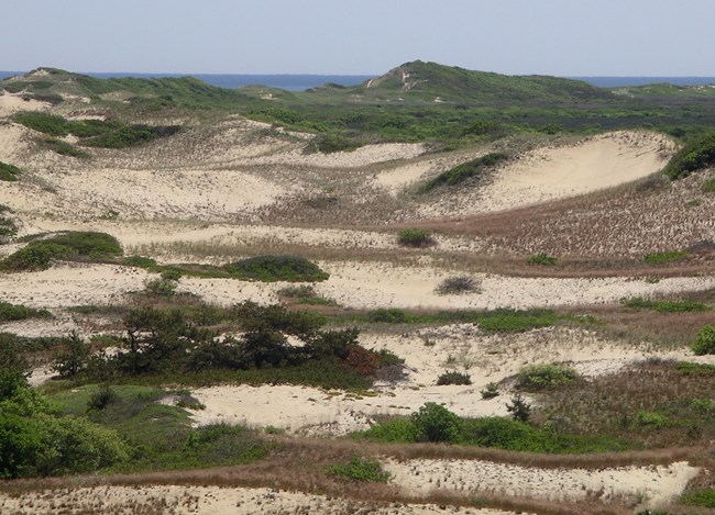 sand dunes