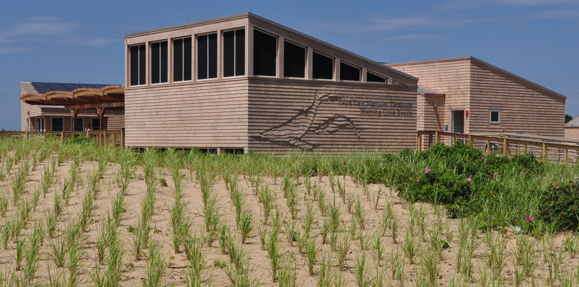 buildings on re vegetated dunes