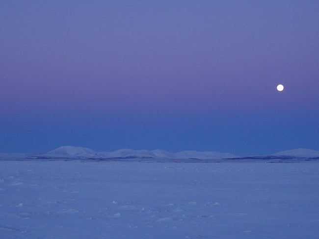 Arctic Cryosphere: snow, water, ice, and permafrost (U.S. National