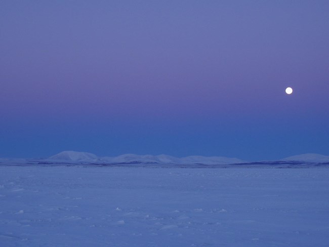 Cape Krusenstern winter Winter twilight on the frozen coast.