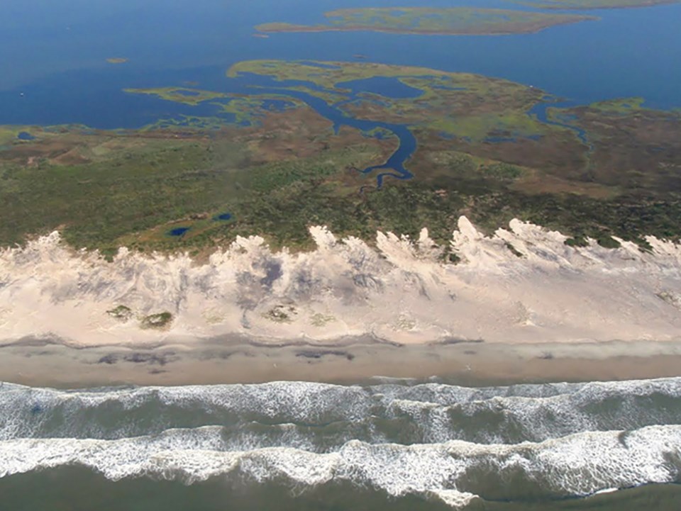 beach with sand overwash into wetland area