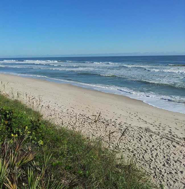 CANA_Terregenouse_trailingEdge_crop sandy beach