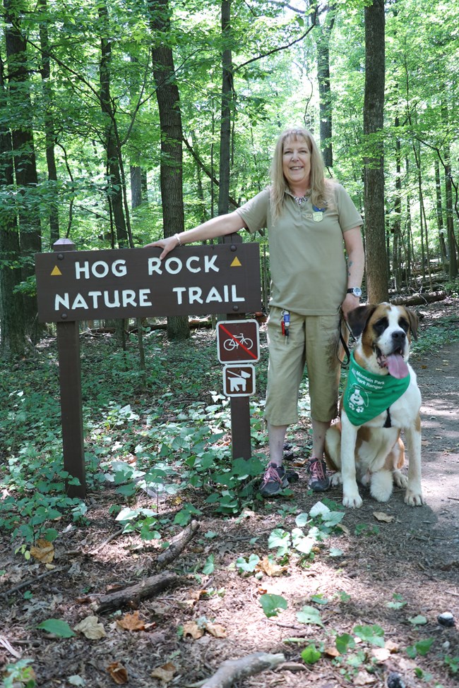 Volunteer with a BARK Ranger