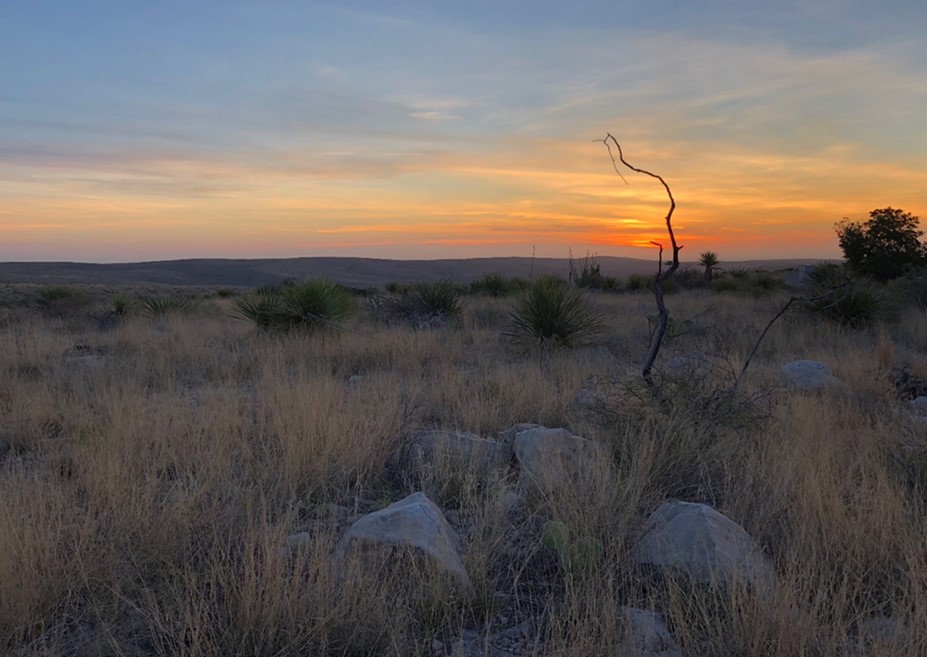 Sunset over the rolling hills and grasslands of Carlsbad Caverns National Park in New Mexico.