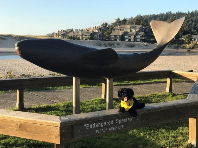 toy dog near whale statue