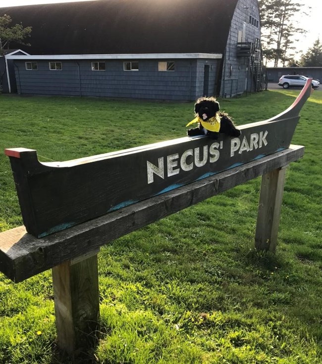 toy dog near Necus Park sign