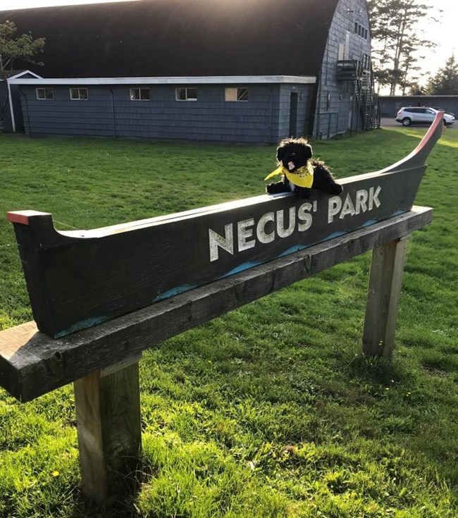CBM3 toy dog near Necus Park sign