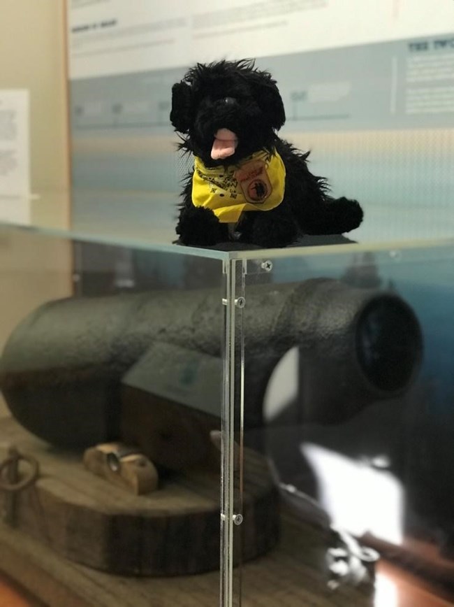 toy dog on cannon