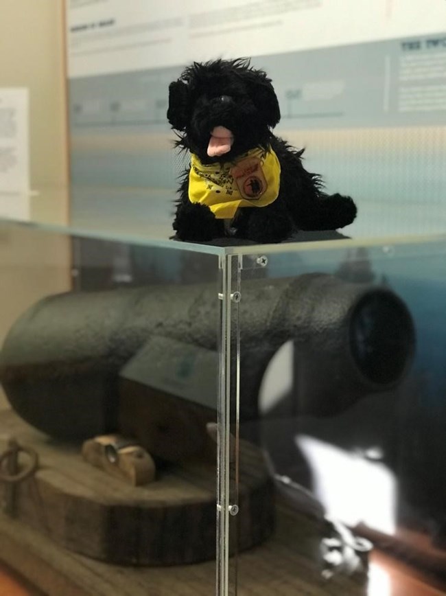 CBM5 toy dog on cannon