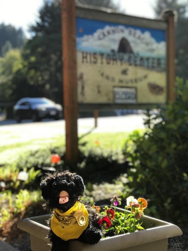 CBM9 toy dog near museum sign
