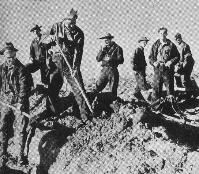 Black and white photo of men in work clothes digging in dirt.