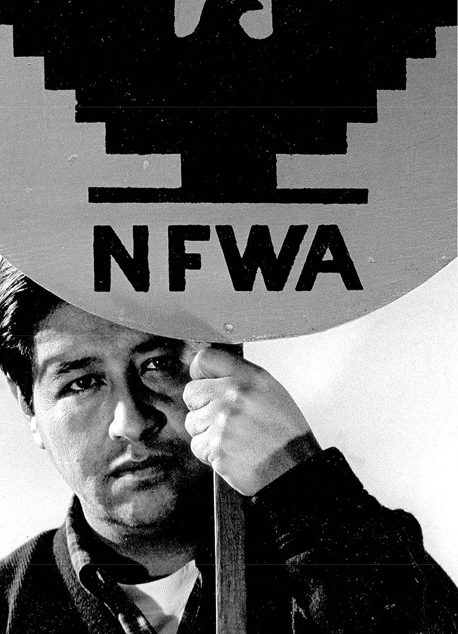 Historic image of Cesar Chavez carrying a picket sign