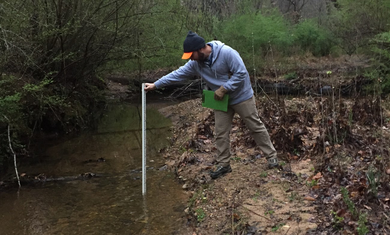 Taking a measurement in stream at CHAT. Man standing on a bank holds a measuring rod in a stream