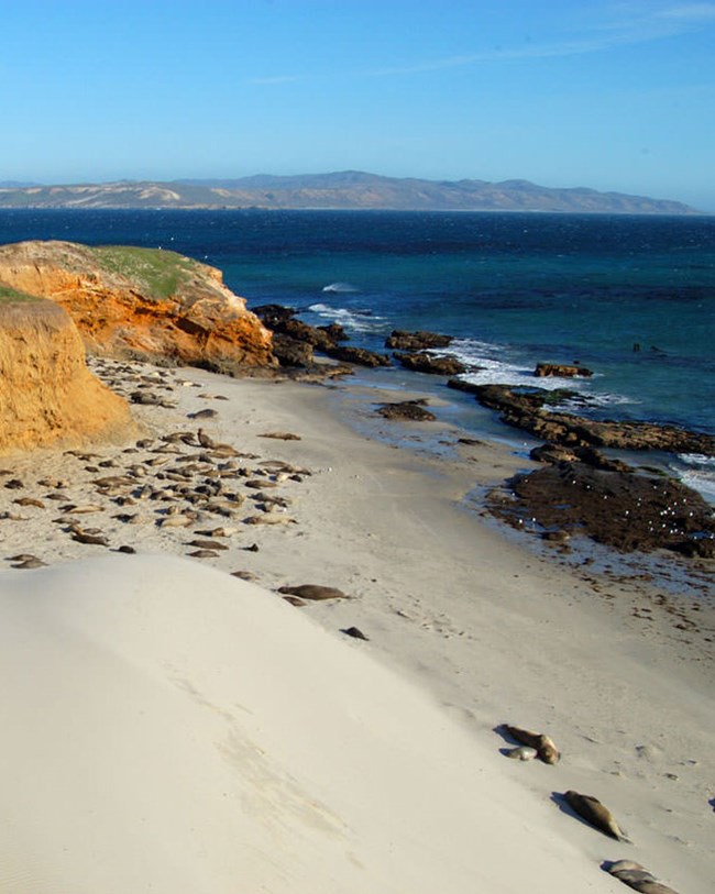 cliffs and beach