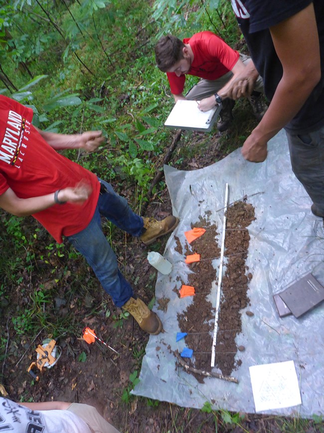Soil monitoring People gather around a tarp where soil is carefully spread out for examination.