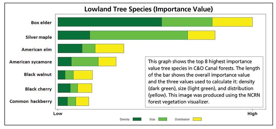 CHOH Lowland Tree Graph Graph showing dominant trees of lowland forests at C&O Canal NHP.